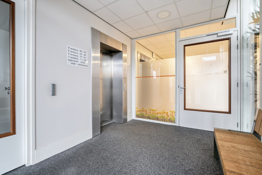 Foto 6 1000w