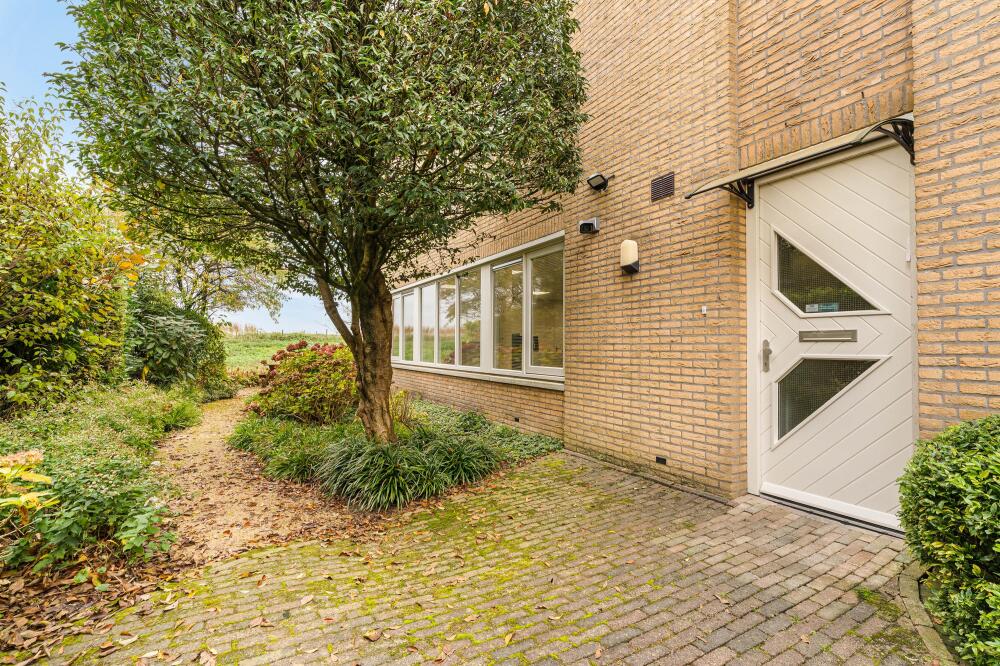 Foto 8 1000w