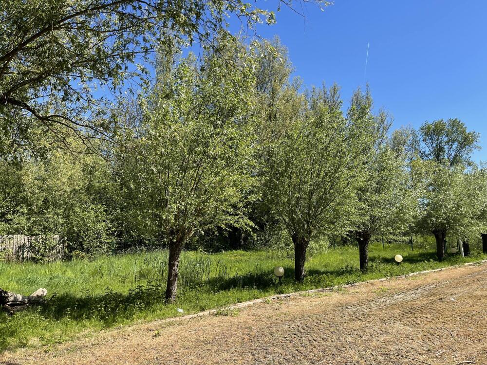 Foto 22 1000w