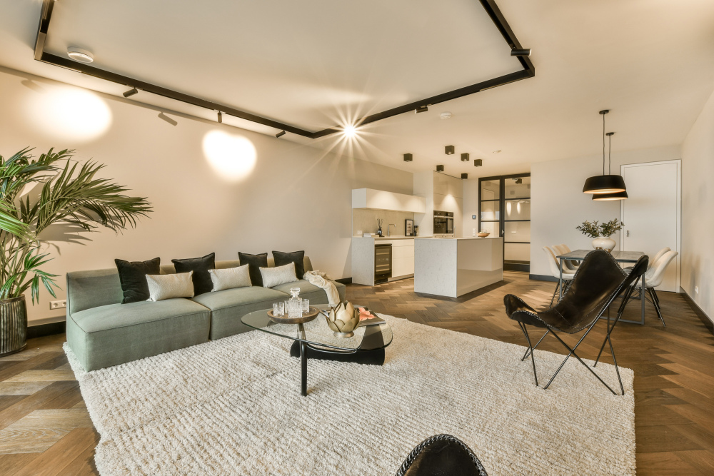Foto 2 1000w