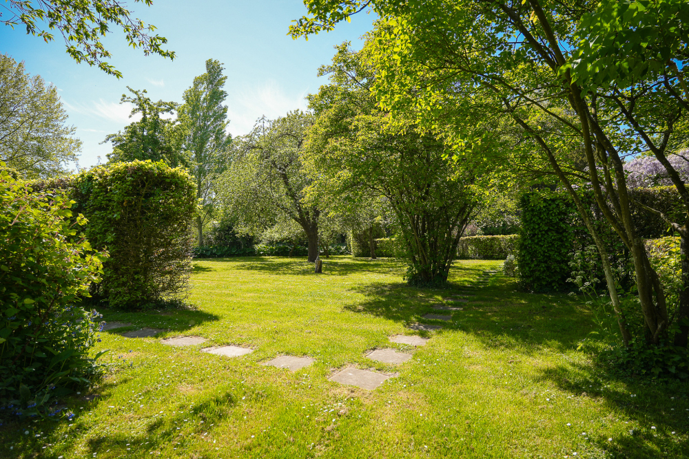 Foto 45 1000w