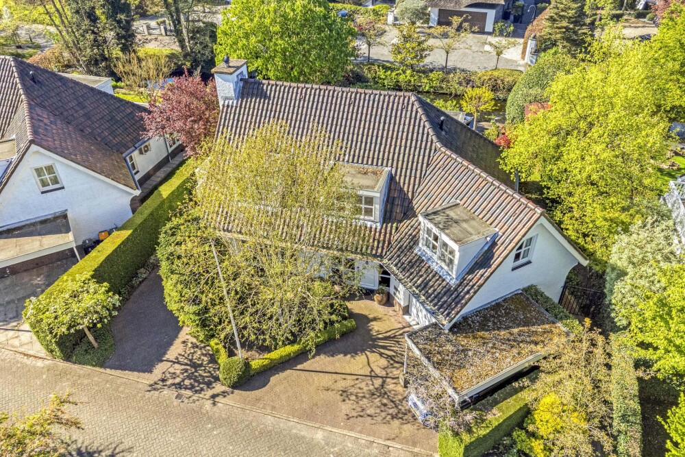 Foto 62 1000w