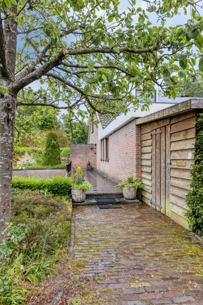 Foto 10 1000w