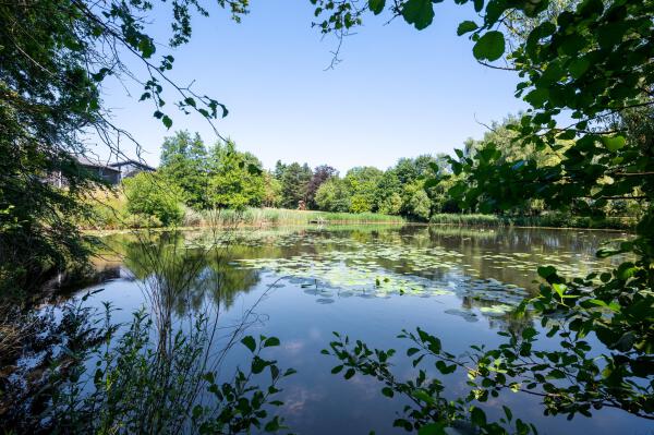 photo 6 Plattebaan 2