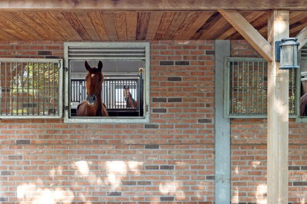 photo 59 Plattebaan 2