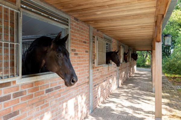 photo 60 Plattebaan 2