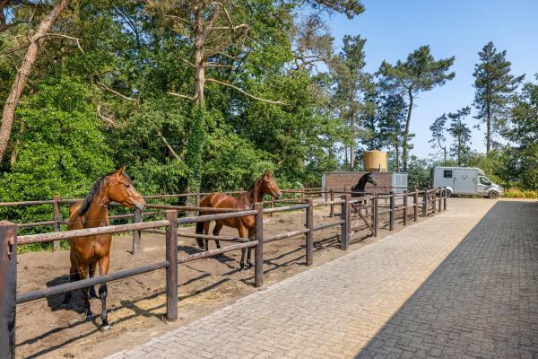 photo 77 Plattebaan 2