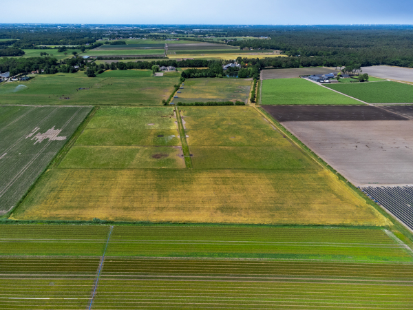 photo 83 Plattebaan 2