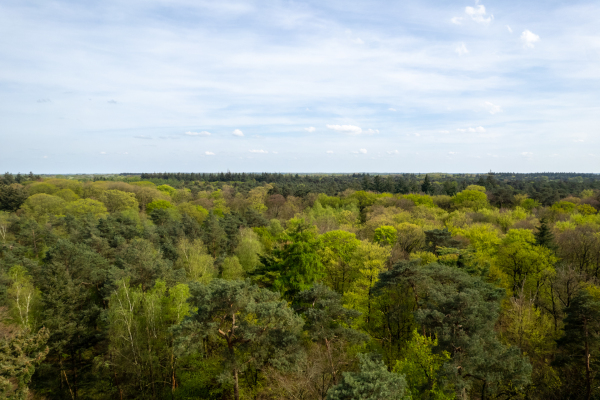 photo 65 Montenspark 1