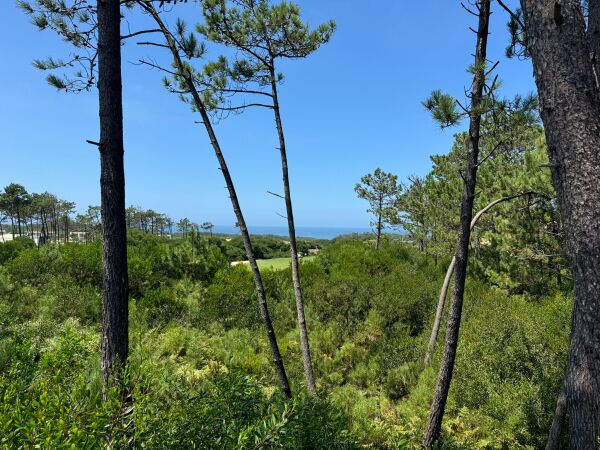 photo 17 West Cliff Villa 28 ong