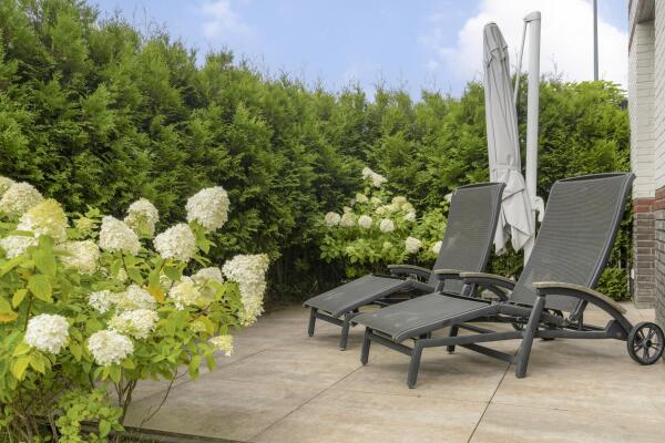 photo 19 Oleanderlaan 35