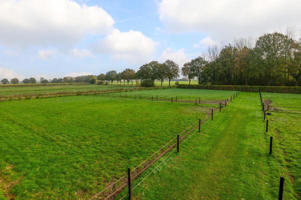 photo 61 Waatselaarstraat 3