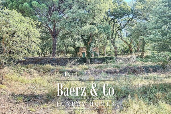 photo 7 country house on 15700m² of land, work required