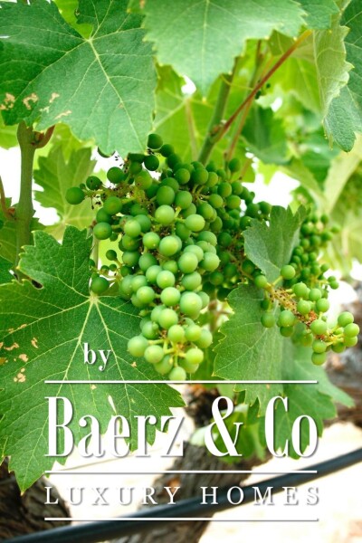 photo 32 Beautiful luxury home in Yecla