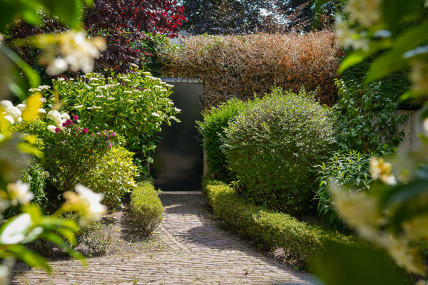 photo 51 Gasthuisstraat 12