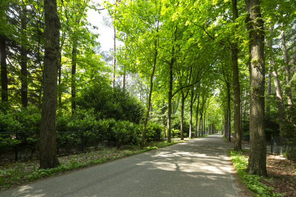 photo 19 Hondsbergselaan 3