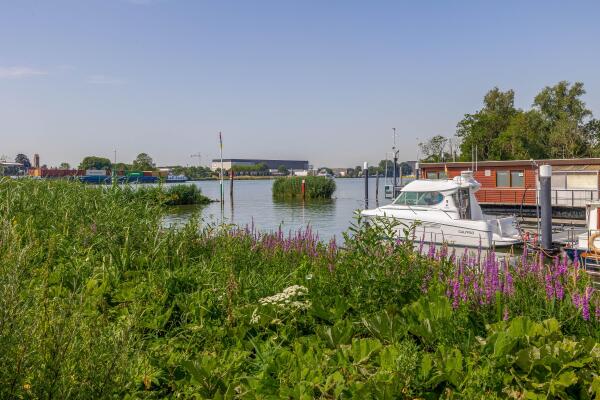 photo 65 Lekdreef 13