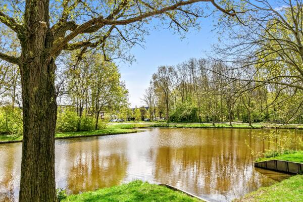 photo 50 Nederhoflaan 12