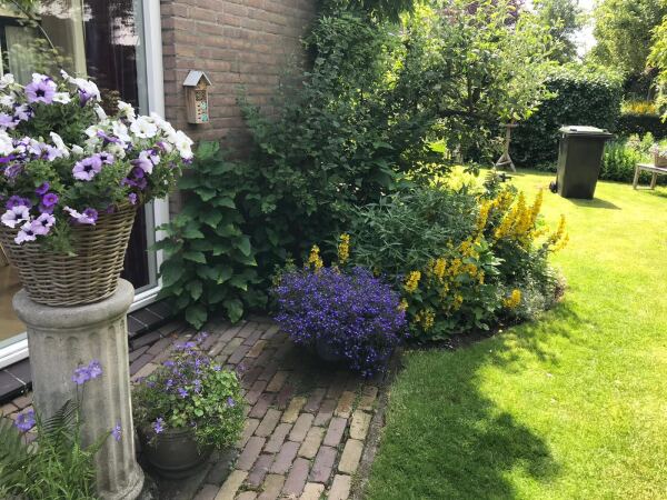 photo 25 Lijsterlaan 2 b