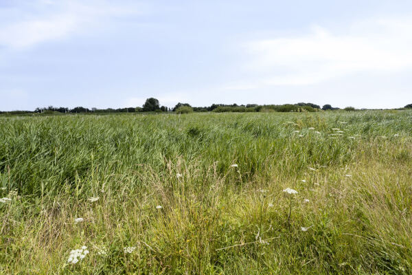 photo 35 Slingerdijk 3 A