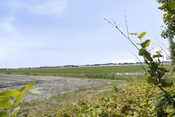 photo 49 Slingerdijk 3 A