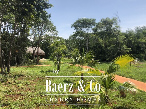 photo 4 Luxury villa in Yucatán, turn key, presale