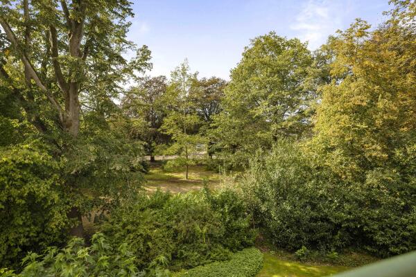 photo 7 de Decanije 41