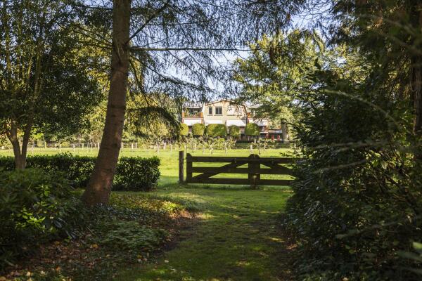 photo 50 de Decanije 41