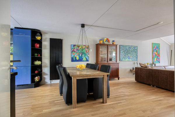 photo 8 van Ruysdaellaan 60