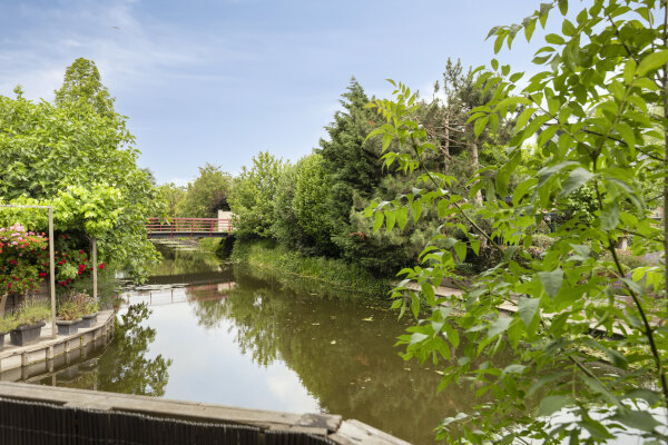 photo 50 Oltmansstraat 17