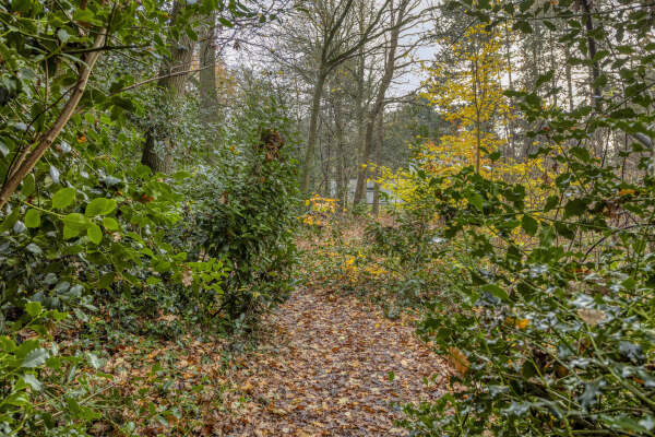 photo 40 Spinolaberg 12