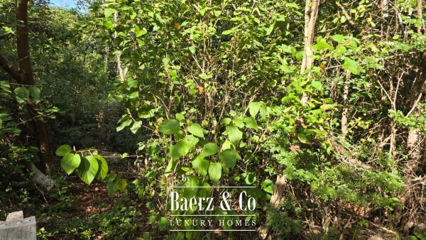 photo 34 Sagrado - Valladolid 