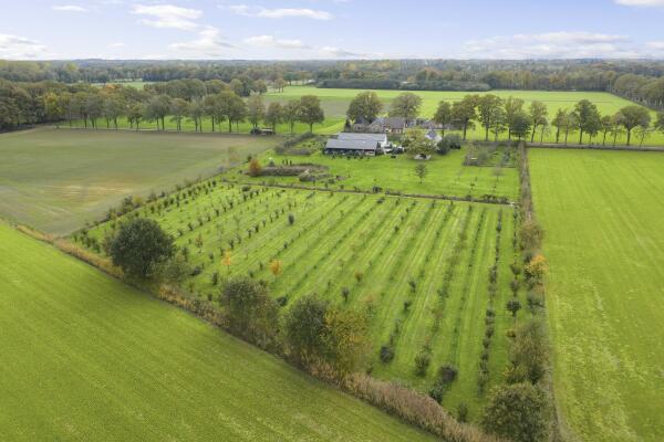 photo 11 Hardermaat 12