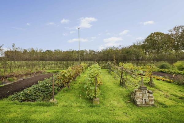 photo 77 Hardermaat 12