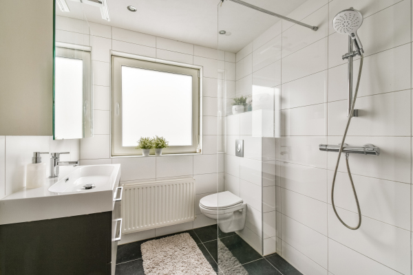 photo 16 Rottekade 165