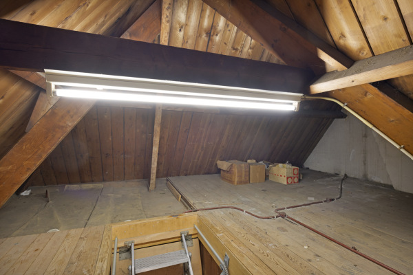 photo 54 Fruinlaan 8