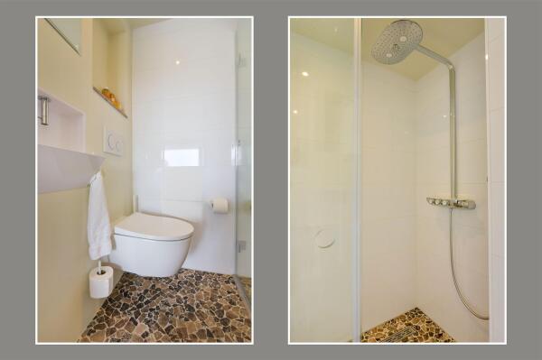 photo 37 Timotheegras 13