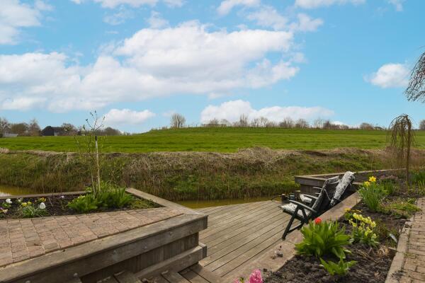 photo 43 Timotheegras 13