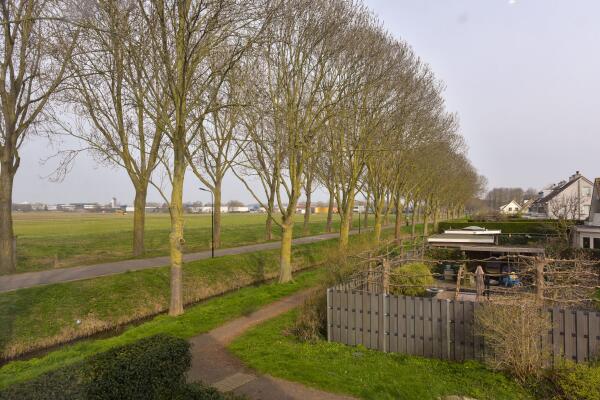 photo 58 Timotheegras 13