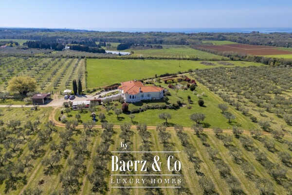 photo 3 Exclusive 12-Ha Olive Estate with Sea Views and Premium Golf Lifestyle in Savudrija, Istria