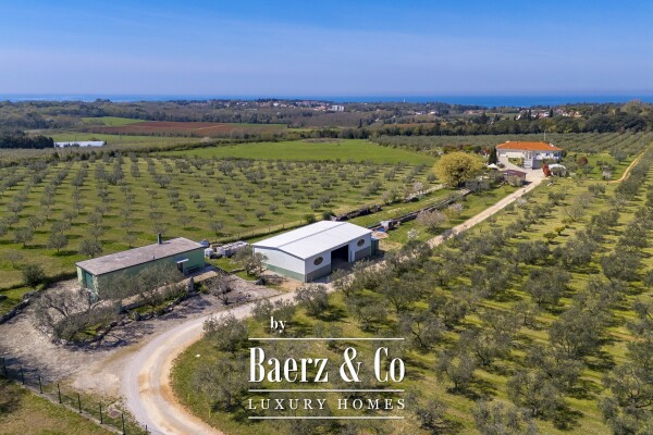 photo 4 Exclusive 12-Ha Olive Estate with Sea Views and Premium Golf Lifestyle in Savudrija, Istria