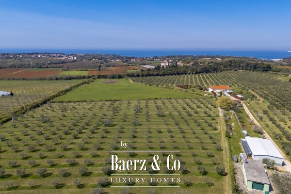 photo 6 Exclusive 12-Ha Olive Estate with Sea Views and Premium Golf Lifestyle in Savudrija, Istria