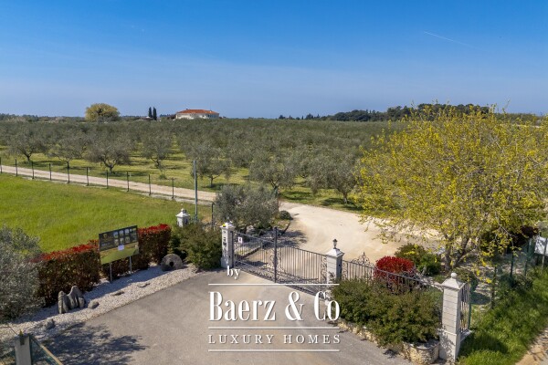 photo 7 Exclusive 12-Ha Olive Estate with Sea Views and Premium Golf Lifestyle in Savudrija, Istria