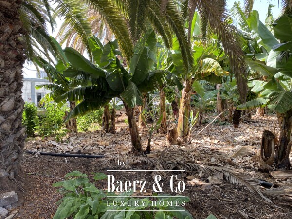 photo 10 Magnificent estate featuring family home and an organic banana plantation