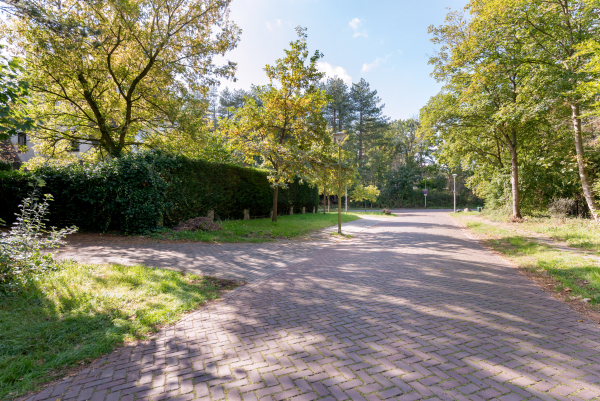 photo 54 Meijendelseweg 10
