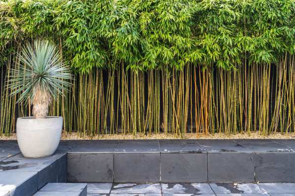 photo 15 Olympiadelaan 8