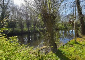 MIJDRECHT