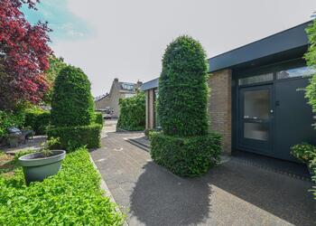 MIJDRECHT